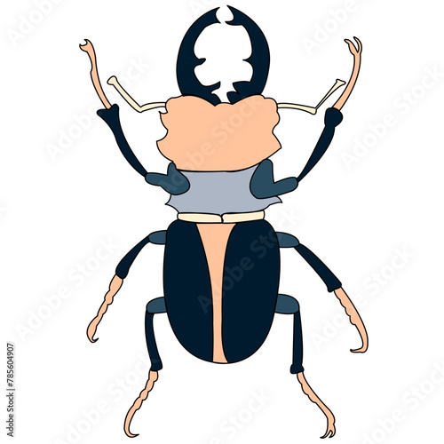 Male European stag beetle (Lucanus cervus) isolated on white background