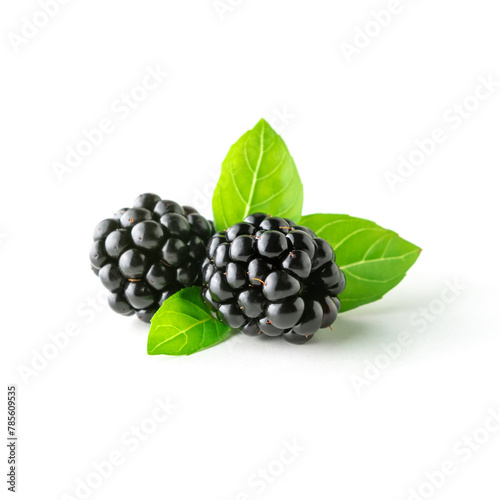 Fresh ripe organic blackberries with green leaf on white background. Food concept. photo