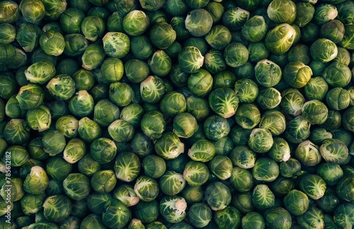 Green Brussels Sprouts in a Bunch