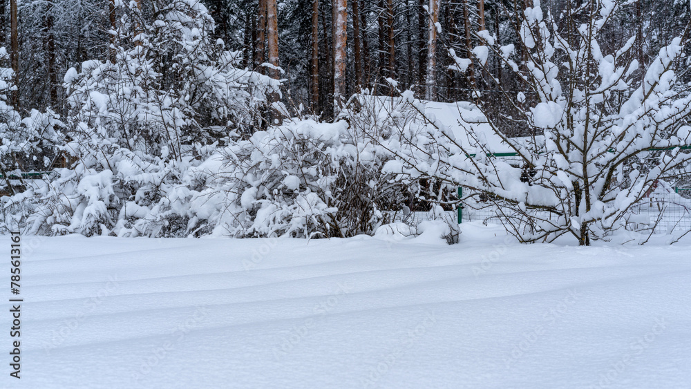 Winter snow-covered forest. Snowfall in the winter forest. Winter snow-covered forest. Snowfall in the winter forest.