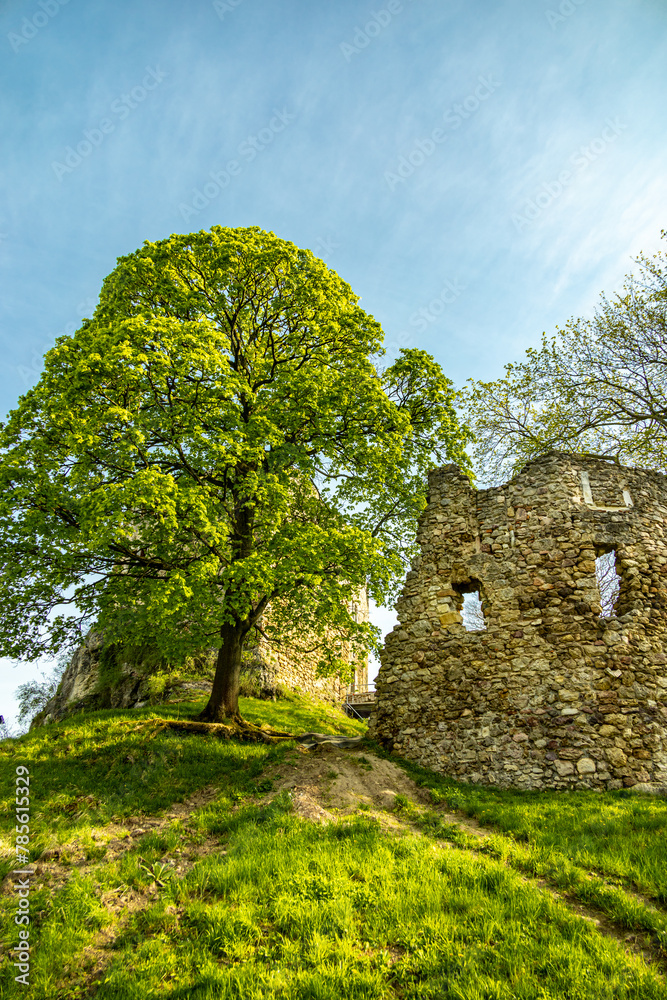 Eine kleine Wandertour von Bad Liebenstein bis zum Rennsteig, inkl. dem Frühlingserwachen im Altensteiner Park bei herrlichen Sonnenschein - Thüringen - Deutschland Eine kleine Wandertour von Bad Liebenstein bis zum Rennsteig, inkl. dem Frühlingserwachen im Altensteiner Park bei herrlichen Sonnenschein - Thüringen - Deutschland