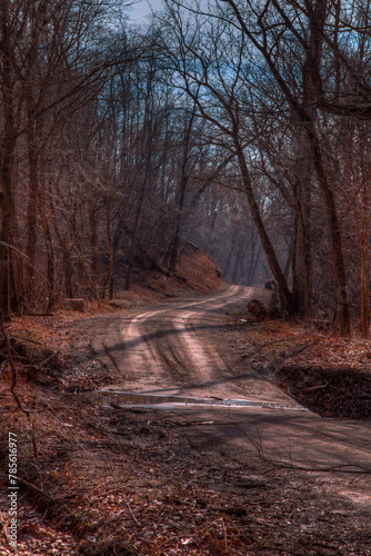 Road Less Traveled.  A winding dirt road cuts through a dense forest, creating a tunnel-like effect with bare trees on either side. There is a distinct play of light and shadow on the path.