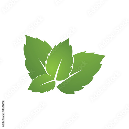Mint leaf logo vector template symbol design