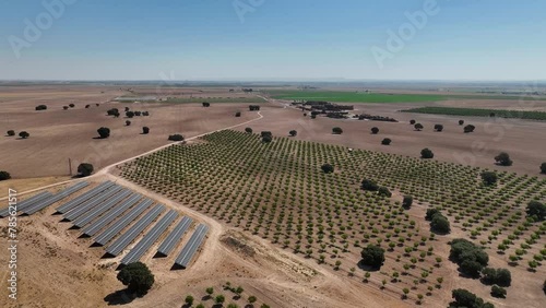 Aerial view of cereal fields, almond groves, and oak trees in Albacete province, Spain, with a photovoltaic plant interspersed among them them for use by the farmers photo