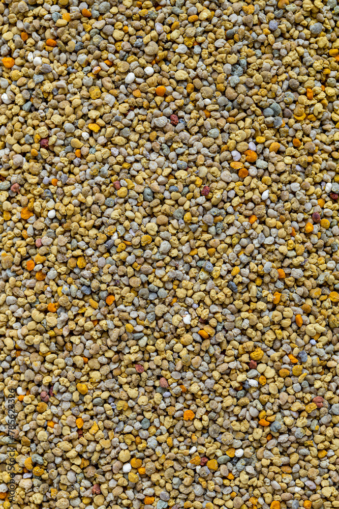 Bee pollen or perga textured background . Raw brown, yellow, orange and blue flower pollen grains or bee bread texture pattern. Healthy food supplement Bee pollen or perga textured background . Raw brown, yellow, orange and blue flower pollen grains or bee bread texture pattern. Healthy food supplement