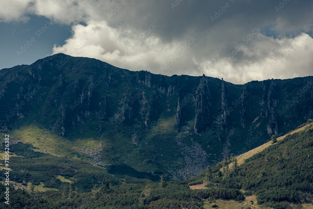 Fototapeta premium Summer day in the mountains. Mount Shpytsi, Chornohora, Carpathian Mountains