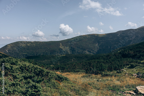 Beautiful view in the Carpathians. Spitzi Mountains. Ukraine photo