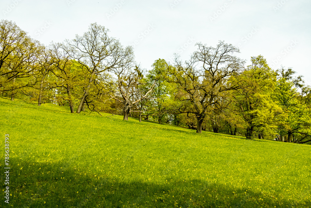 Eine kleine Wandertour von Bad Liebenstein bis zum Rennsteig, inkl. dem Frühlingserwachen im Altensteiner Park bei herrlichen Sonnenschein - Thüringen - Deutschland Eine kleine Wandertour von Bad Liebenstein bis zum Rennsteig, inkl. dem Frühlingserwachen im Altensteiner Park bei herrlichen Sonnenschein - Thüringen - Deutschland