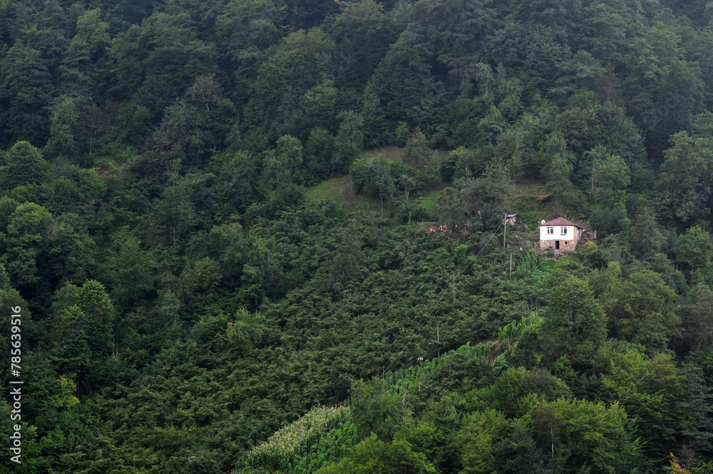 Simsirli Village in Macka, Trabzon, Turkey.