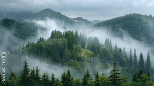 beautiful Foggy mountain landscape. Carpathian mountains, Ukraine