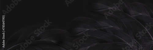 Background of flying realistic vector  goose or swan black feathers.Ecological feather filler for pillows, blankets or jackets.Vector concept design.