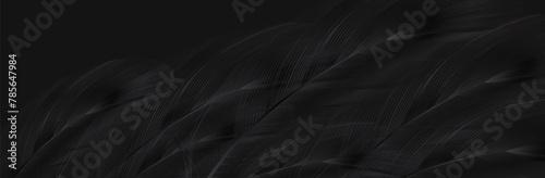 Background of flying realistic vector goose or swan black feathers.Ecological feather filler for pillows, blankets or jackets.Vector concept design.