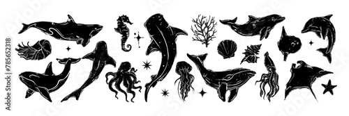 Ocean animal linocut vector set, whale grunge print, woodcut stamp, wild sea mammal silhouette. Summer marine retro collection, hand drawn underwater shark, coral, stingray. Ocean animal illustration © Oleksandra