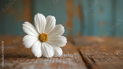 White Flower on Wooden Table