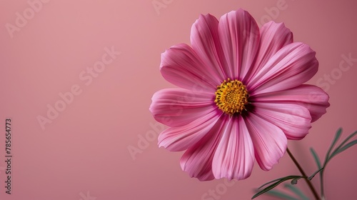 Pink Flower With Green Leaves on Pink Background