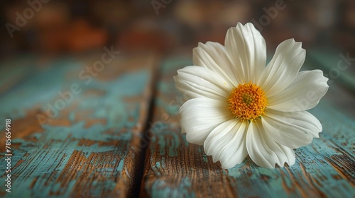White Flower on Wooden Table