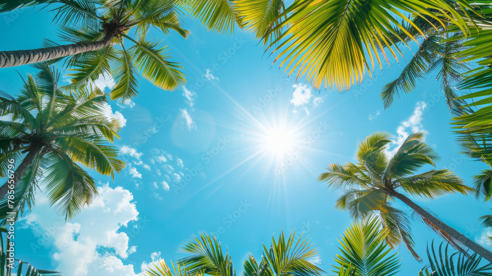 Tropical Background with Palm Trees Tropical Background with Palm Trees