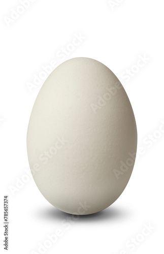 White Egg isolated on white background with shadow