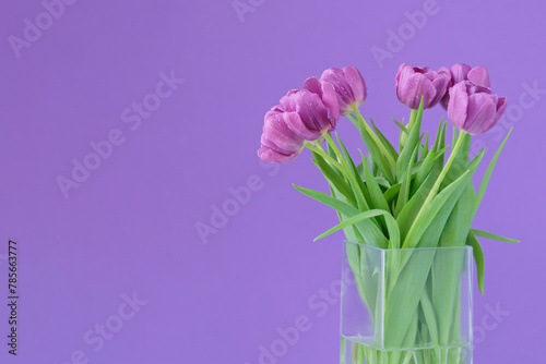 Beautiful bouquet of vivid purple tulip flowers with water drops