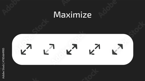 Maximize icons in 5 different styles as vector	 photo