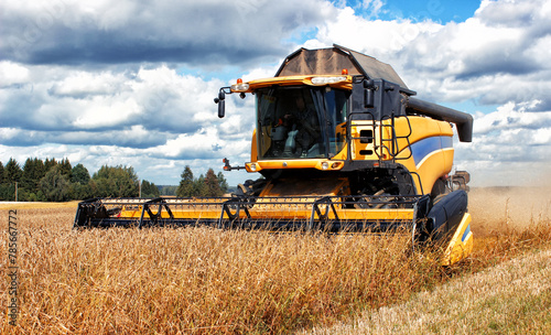 Combine harvester harvests ripe wheat. Yellow combine harvests yellow grain. Agriculture image photo