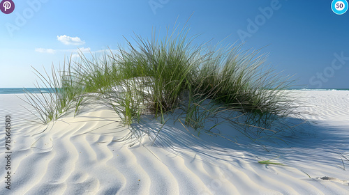 Sand Dune with Grass 3D Image, A beach scene with grass in the sand