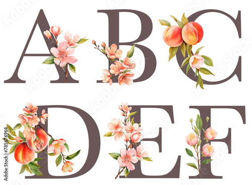 Set of floral letters A-F with blooming peach tree branches and fruits, isolated illustration on white background, for wedding monogram, greeting cards, logo (ID: 785676964)