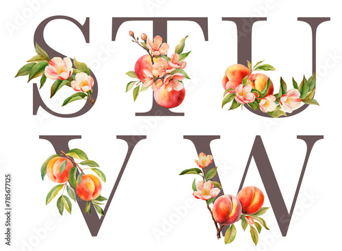 Set of floral letters S-W with blooming peach tree branches and fruits, isolated illustration on white background, for wedding monogram, greeting cards, logo (ID: 785677125)