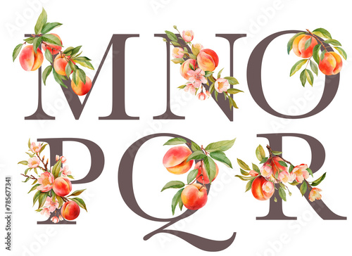 Set of floral letters M-R with blooming peach tree branches and fruits, isolated illustration on white background, for wedding monogram, greeting cards, logo (ID: 785677341)