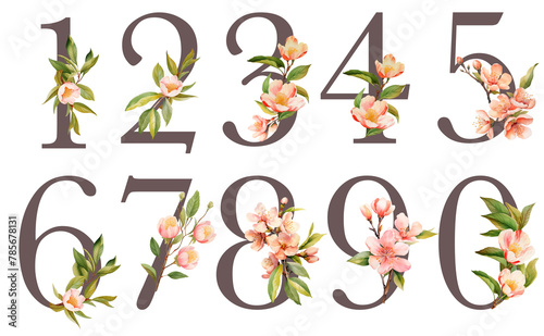 Set of floral numbers with watercolor peach tree flowers, isolated illustration on white background, for wedding monogram, greeting cards, logo
