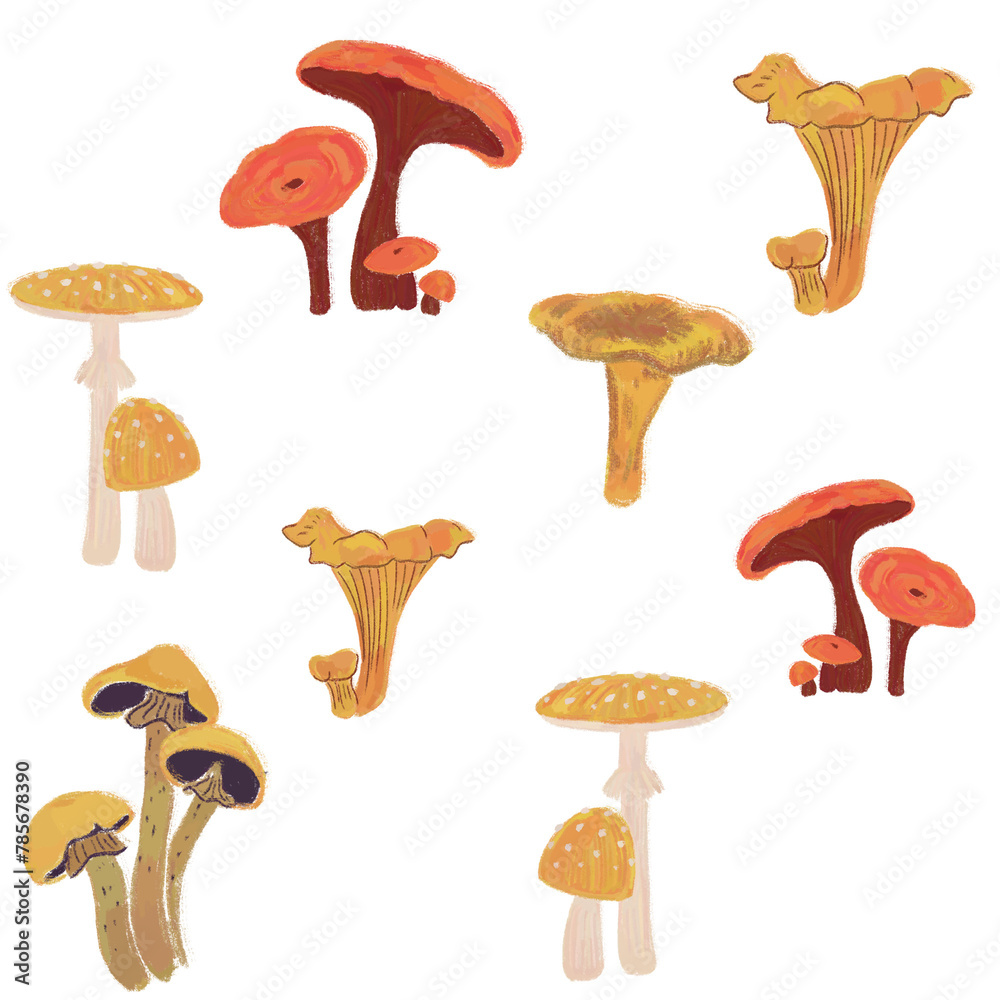 Seamless floral forest transparent pattern with mushrooms. Children's stylized pencil illustration for textile and paper design. Seamless floral forest transparent pattern with mushrooms. Children's stylized pencil illustration for textile and paper design.