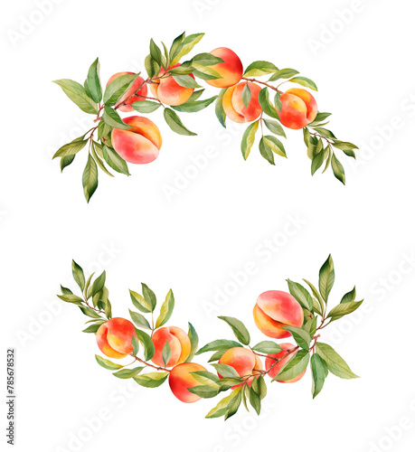 Watercolor wreath with peaches tree branches and fruits, isolated illustration for wedding and holiday cards, kitchen design, posters