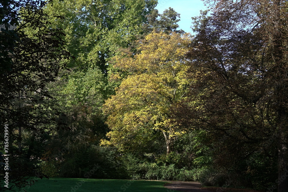 Naklejka premium Park an der Ilm in Weimar