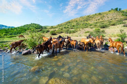 Horses gather near the river to quench their thirst. Rushing water creates a sense of urgency and movement. Harmony of nature, when animals coexist peacefully in their natural habitat.