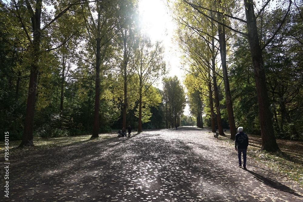 Allee im Park an der Ilm in Weimar Allee im Park an der Ilm in Weimar