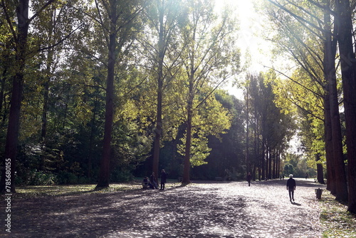 Allee im Park an der Ilm in Weimar photo