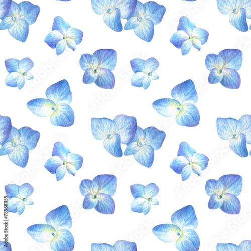 Seamless pattern with blue hydrangea on a white background. Watercolor illustration of summer flowers in botanical style.
