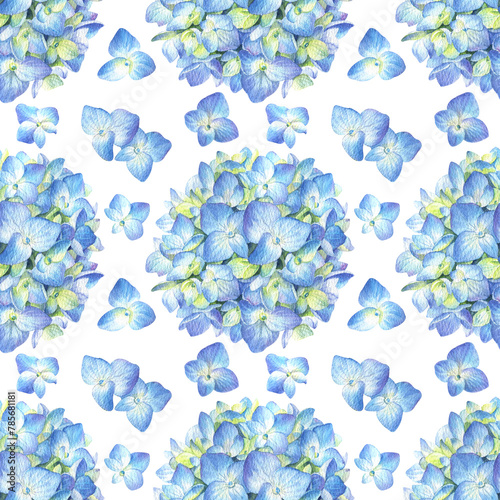 Seamless pattern with blue hydrangea on a white background. Watercolor illustration of summer flowers in botanical style.