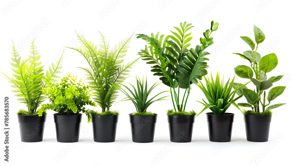 Fototapeta premium Green tropical home plants in pots on white background