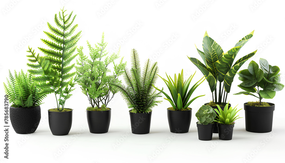 Fototapeta premium Green tropical home plants in pots on white background