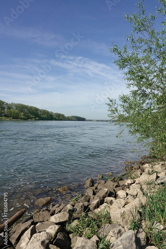 Rhein bei Biebesheim
