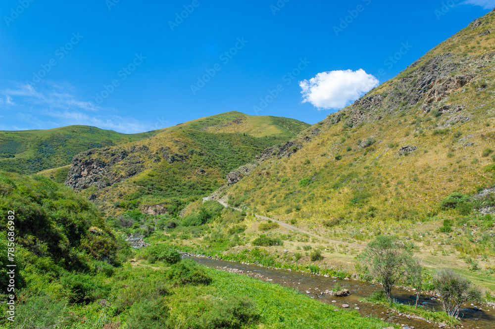 Experience the serene beauty of the river flowing through the rocky canyon. Immerse yourself in the untouched wilderness of the mountains. Witness the harmonious dance of nature