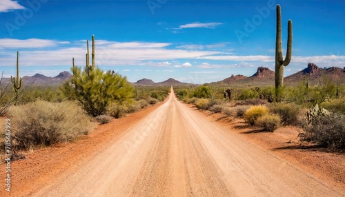 long desolate dirt road path in desert of South West United States of America U.S.A. with Saguaro cactus, mesquite trees and tumbleweeds. blue sky background with clouds. arid climate with no water photo