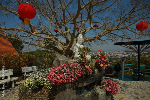 red lanterns on the tree
