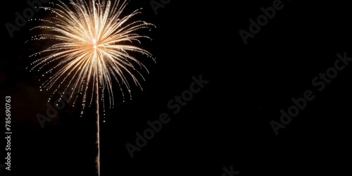 Spectacular golden fireworks display against night sky  celebration and festivities theme  New Year s or Independence Day concept. Copy space.