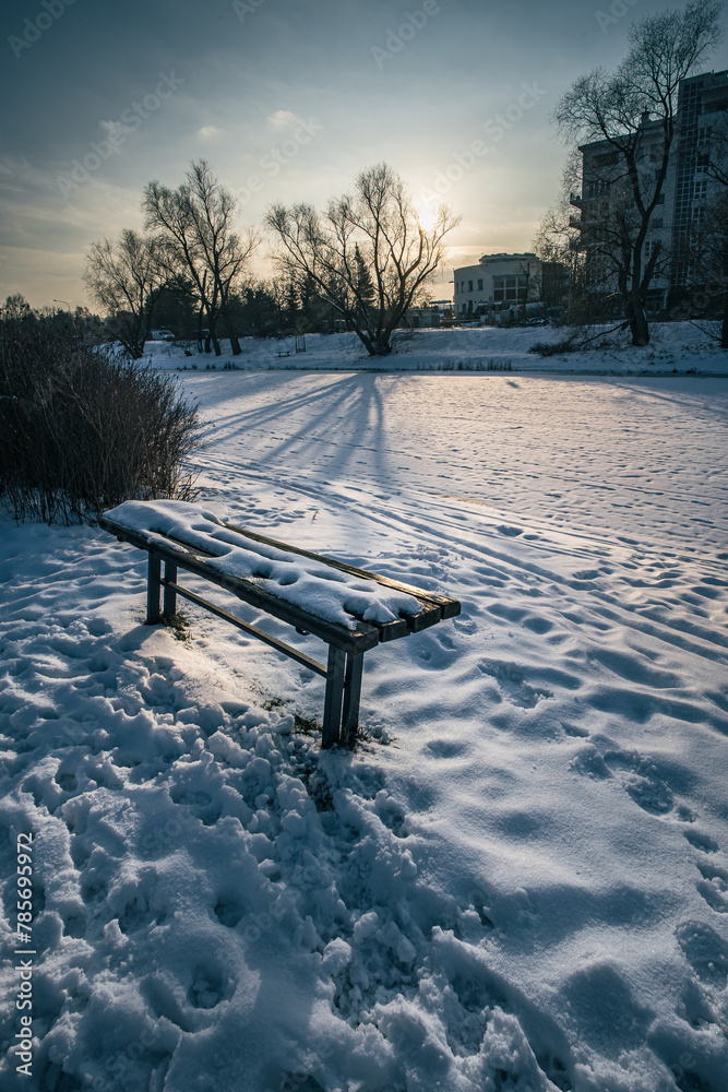 Ławeczka w zimowym ośnieżonym Warszawskim parku