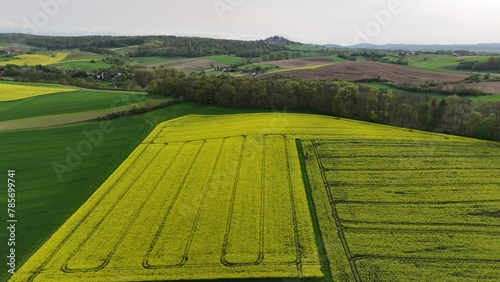 Rapsfeld im noerdlichen Odenwald photo