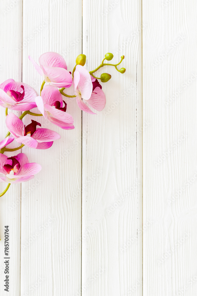 custom made wallpaper toronto digitalWhite and purple orchid flowers on the table, top view