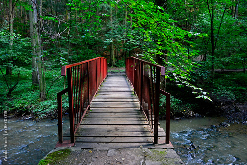 drewniany mostek w lesie nad potokiem, drewniany mostek z czerwonymi, metalowymi poręczami nad lesnym potokiem,, wooden bridge in the forest over a stream, wooden bridge over a tranquil forest stream