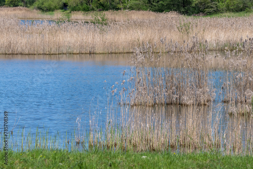 Teppes De Verbois, zone de nature protégée le long du Rhône, Genève photo